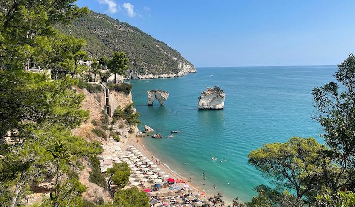 Baia dei Mergoli o delle Zagare - Nord