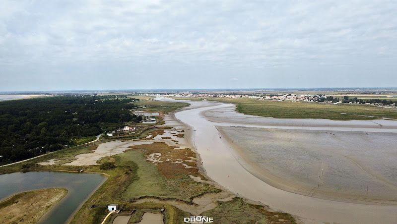 Plage naturiste de la Pointe d'Arçay