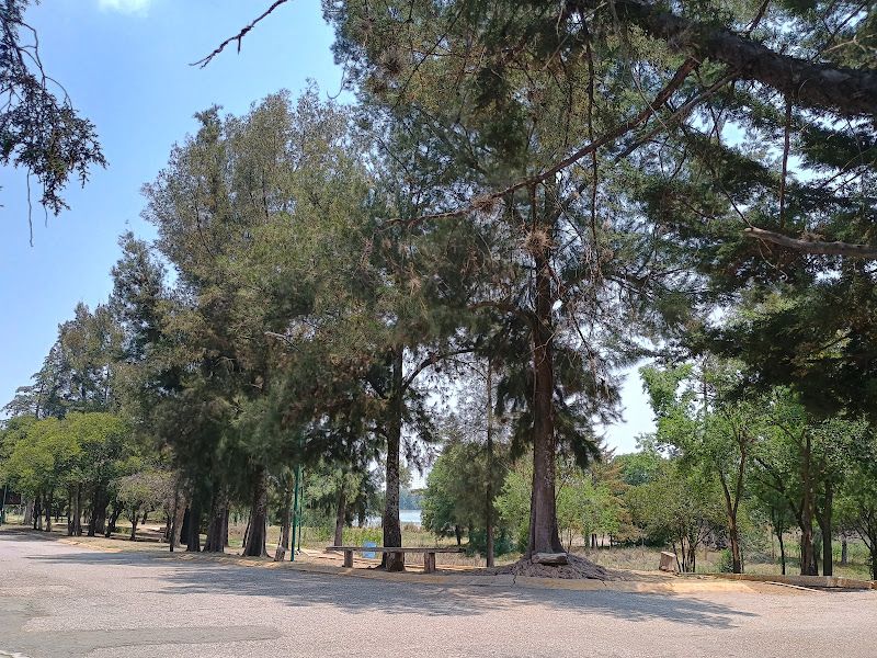 Playa Espejo de los lirios