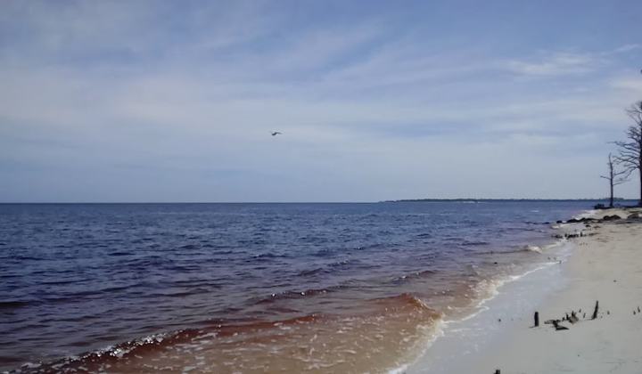 Mashes Sands Beach