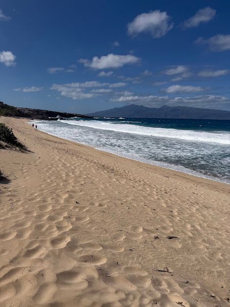 D.T. Fleming Beach