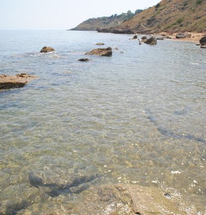 Le Cannella