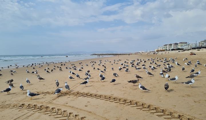 Nova Praia