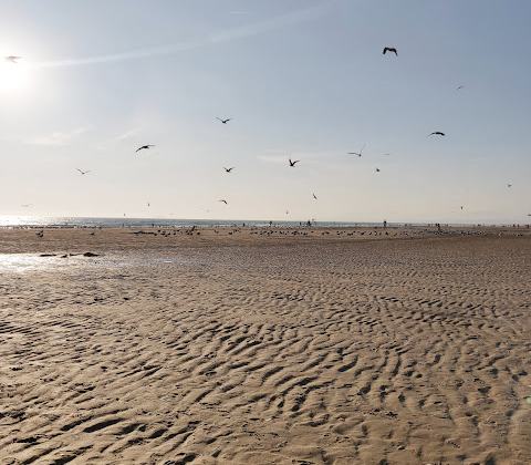 Praia da Riviera