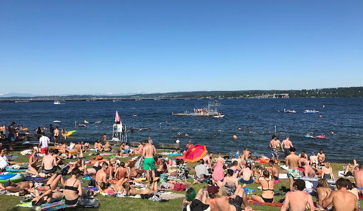 Madison Park Beach Swim Area