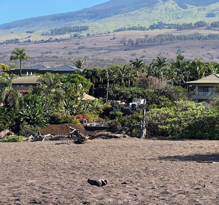 Black Sand Beach