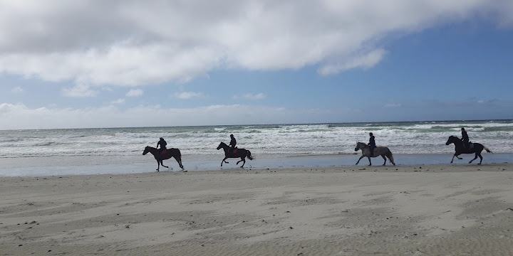 Plage de la Torche