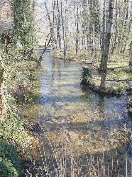 Plage du Lac de Saint-Jean de Chevelu