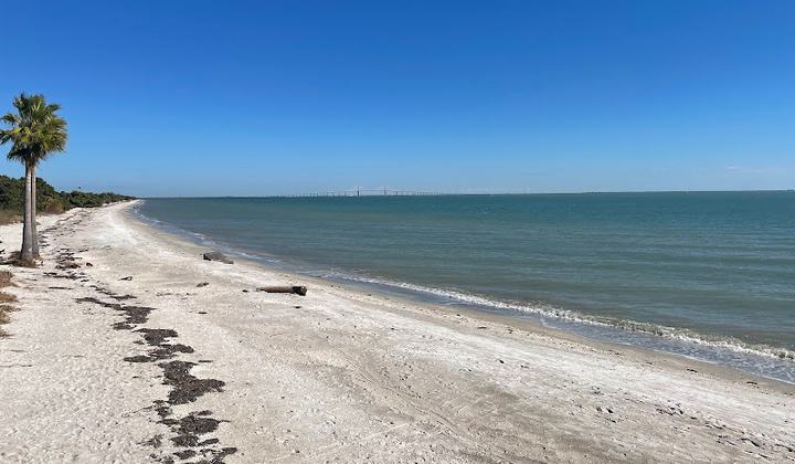 Dog Beach