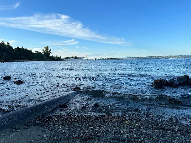 Mount Baker Beach