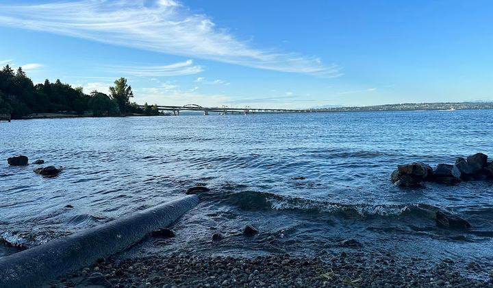 Mount Baker Beach
