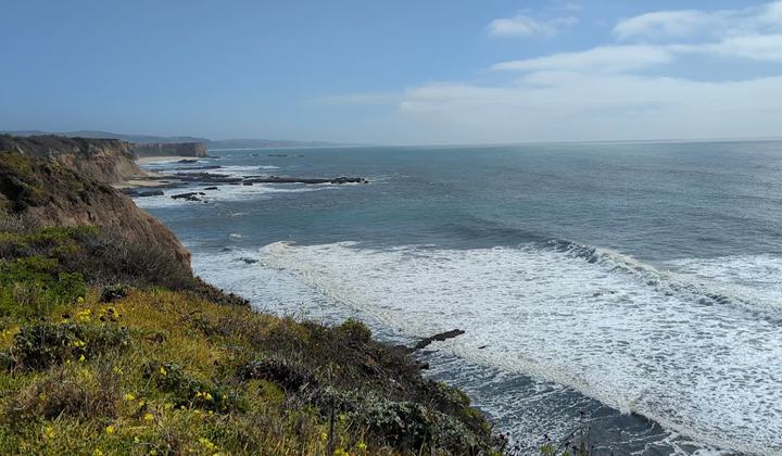 Cowell Ranch Beach