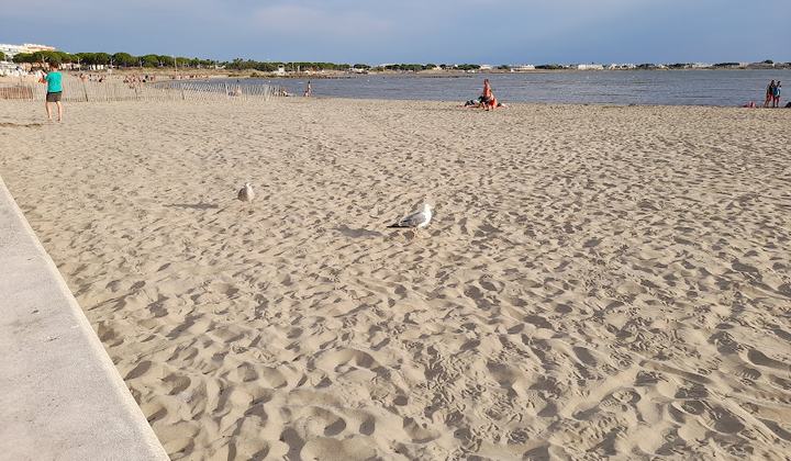 Plage Rive Gauche