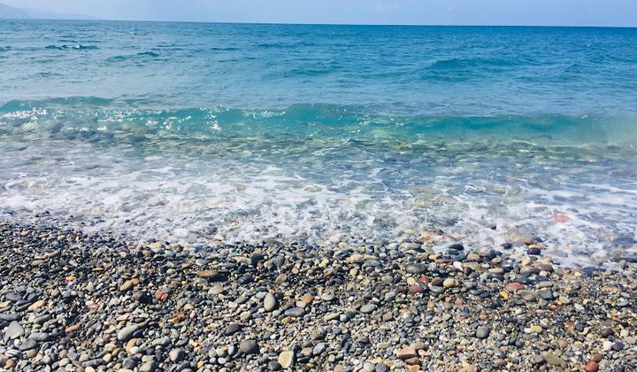 Rapaniana Beach