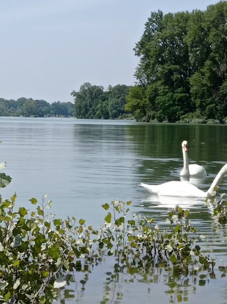 Plage de la Mama
