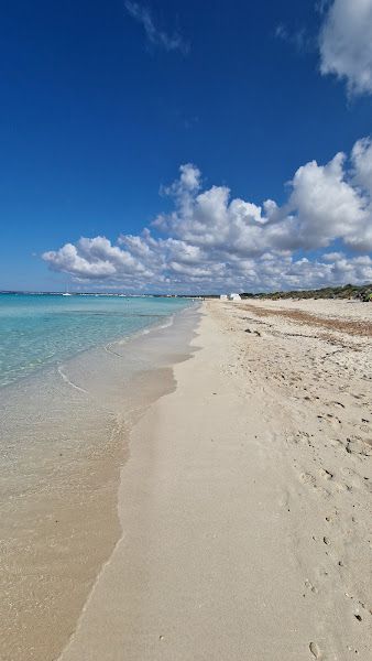 Platja d'es Trenc