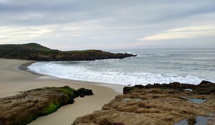 Bean Hollow State Beach