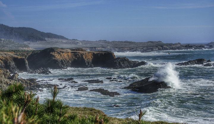 Fisk Mill Cove