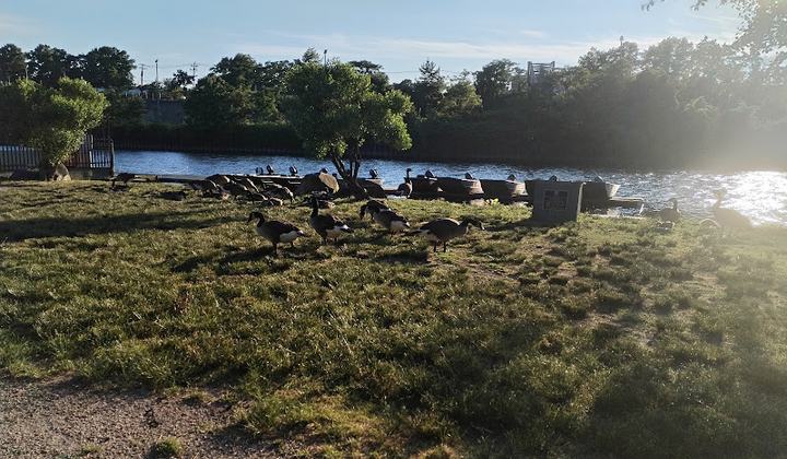 Rutherford Waterfront Park