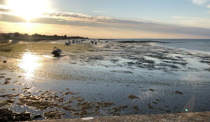 Plage de l'Arnerault