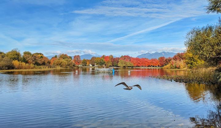 Trout Lake Beach