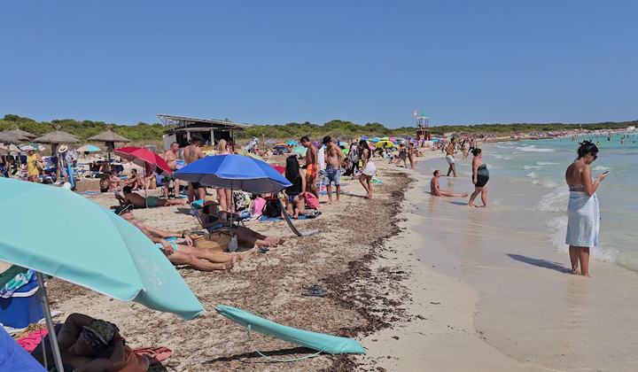Platja de s'Arenal de sa Ràpita