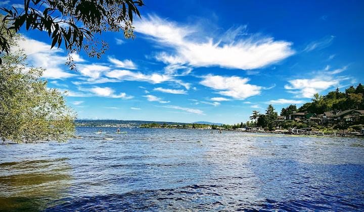 Matthews Beach