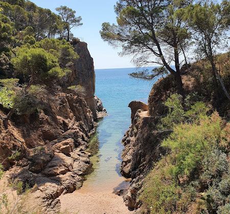 Platja dels Canyerets
