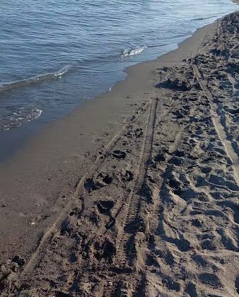 Plazhi i Velipojës