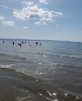 Beach Area 1 & 2