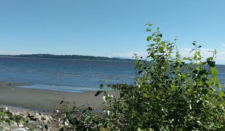White Rock Beach