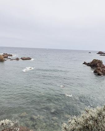 Beach Brieux