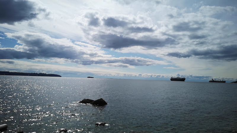 Altamont Beach