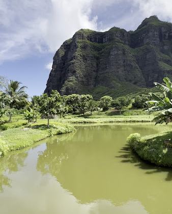 Kalaeʻōʻio Beach