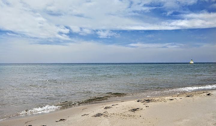 Lake Michigan Beach