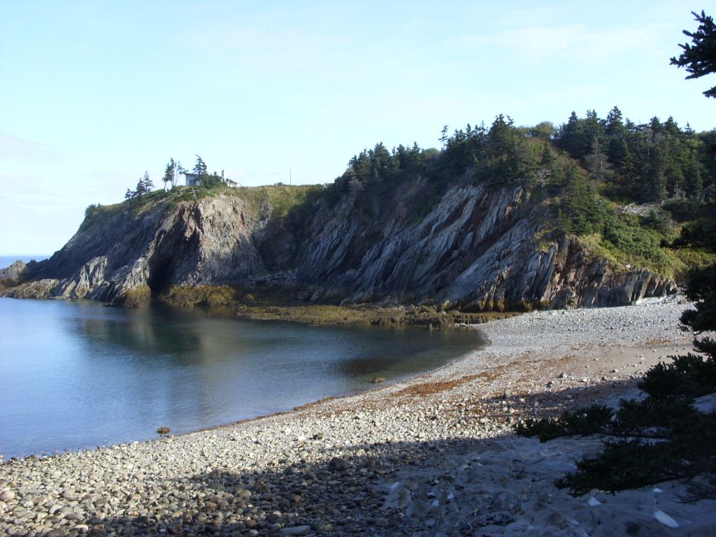 Reef CA-E