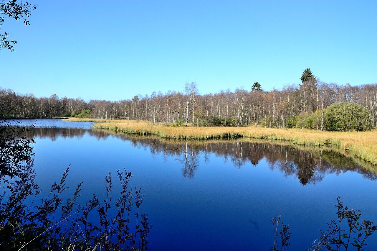 Rotes Moor
