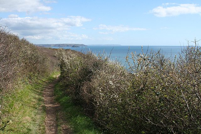 Rame Head