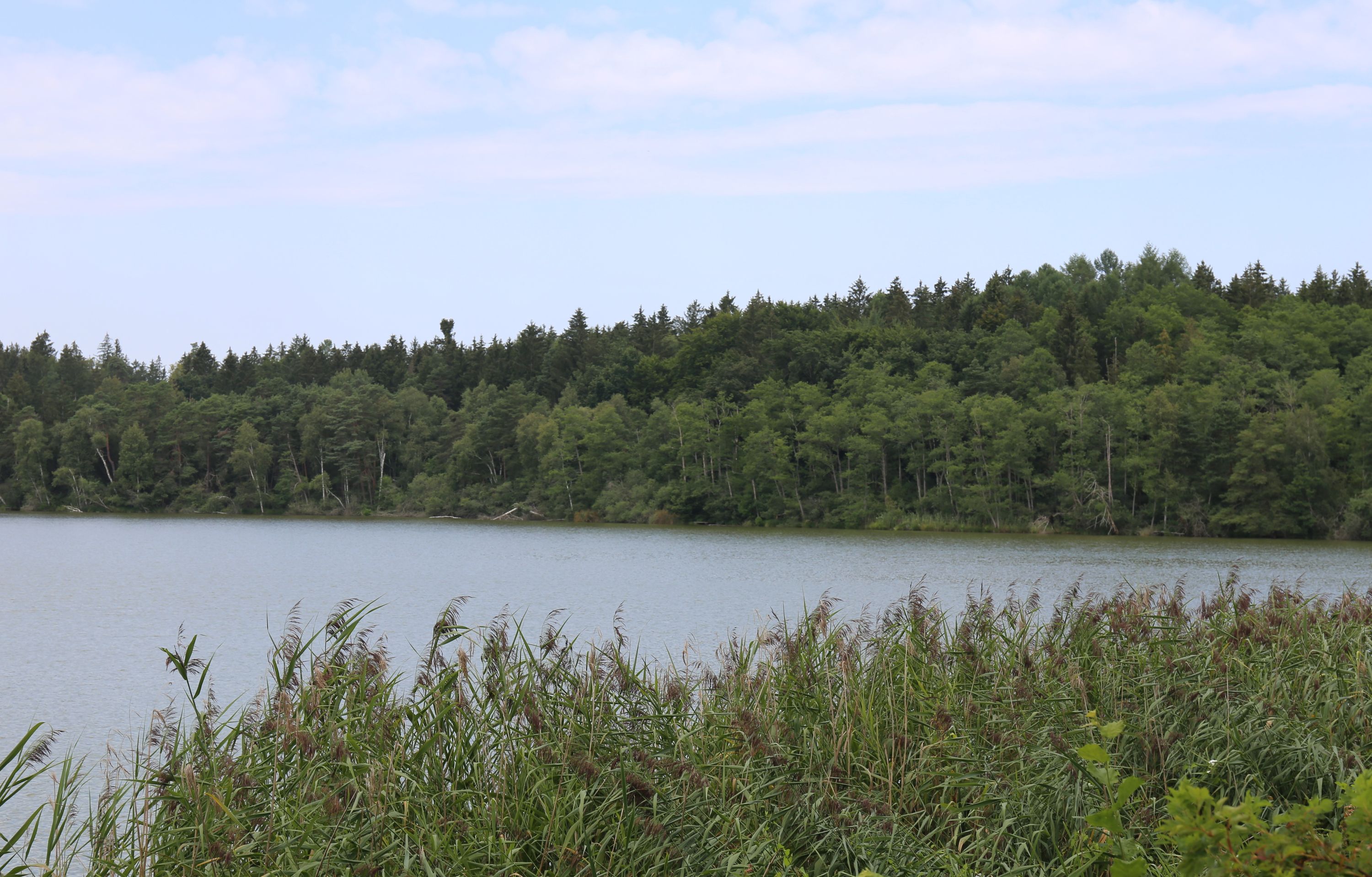 Staudhamer See