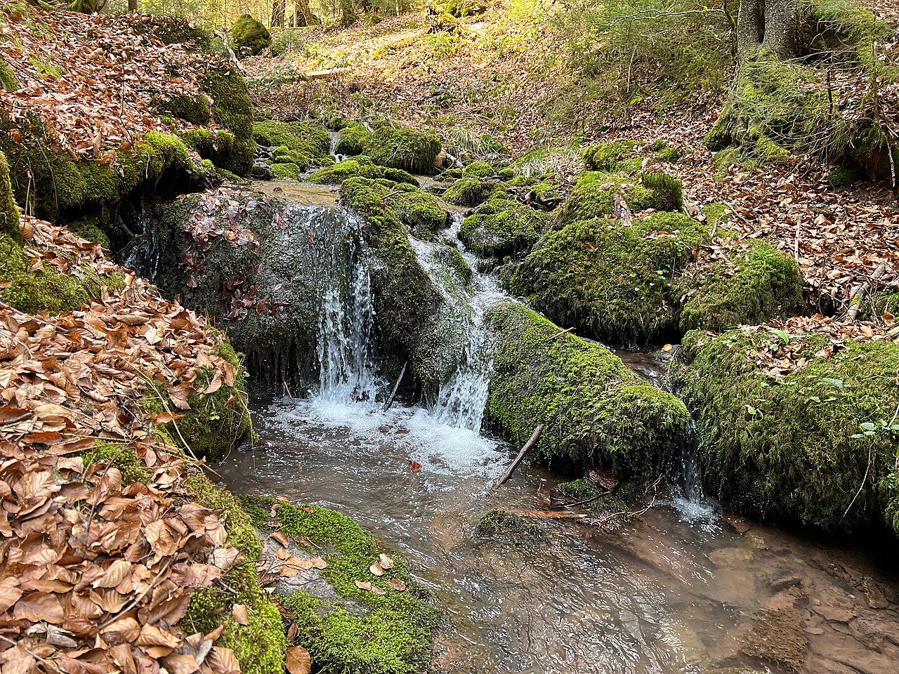 Kleiner Wagenberg