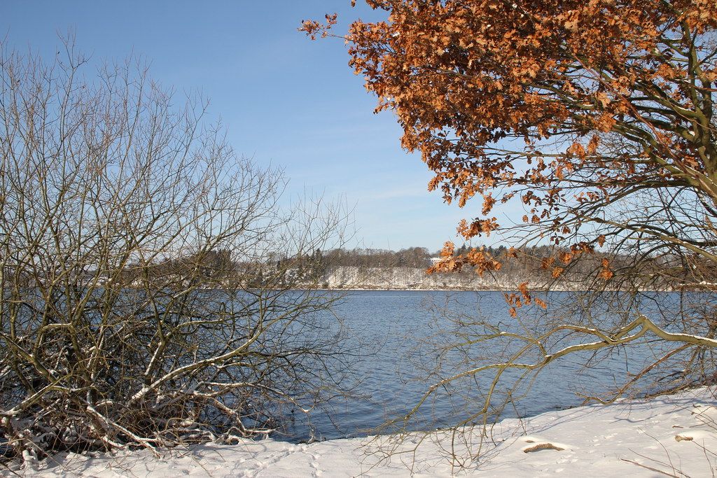 Plage DE-C