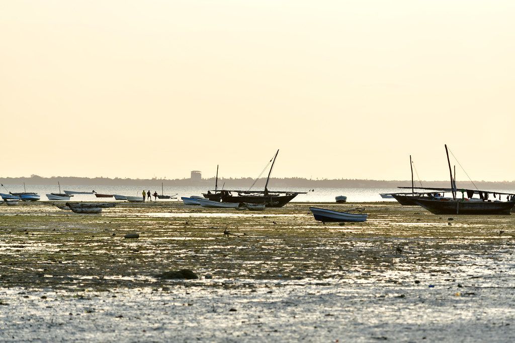 Plage TZ