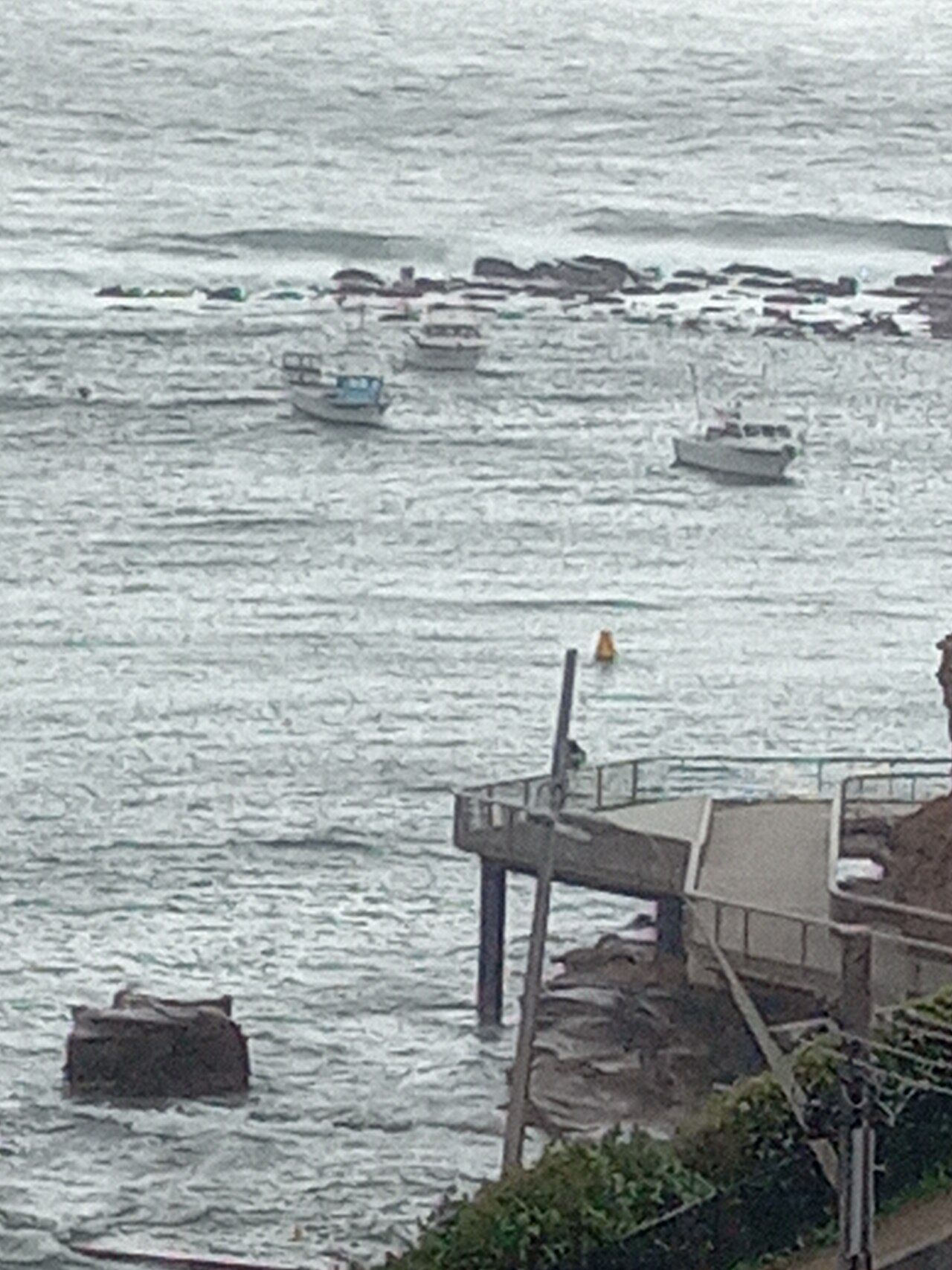 Terrigal Rockpool