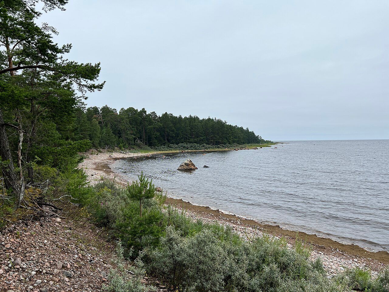 Billuddens naturreservat