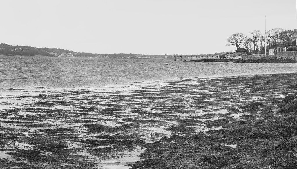 Plage CA-E