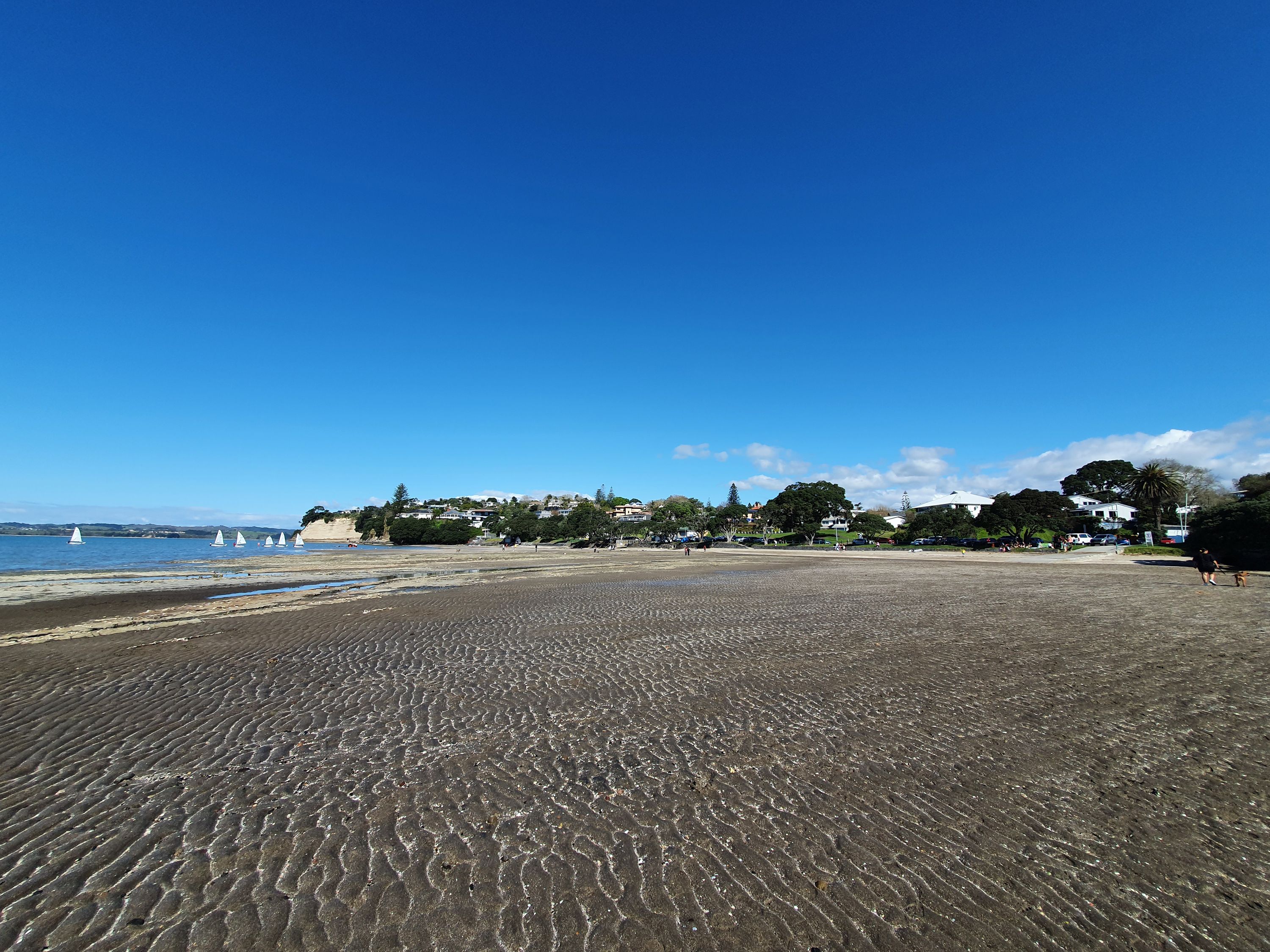 Waipaparoa / Howick Beach