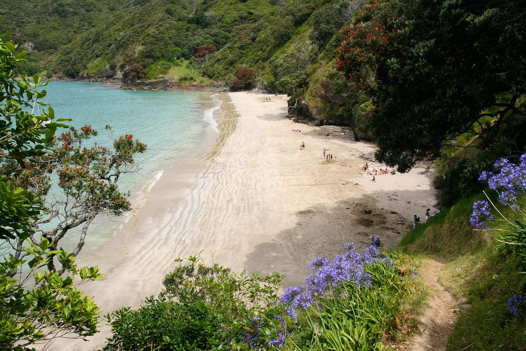 Plage NZ-N