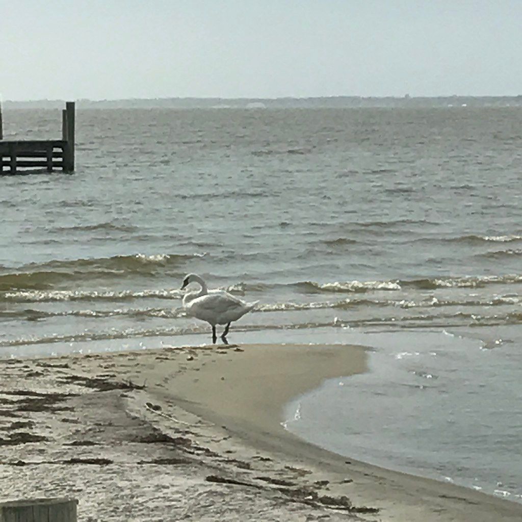 Plage US-NE