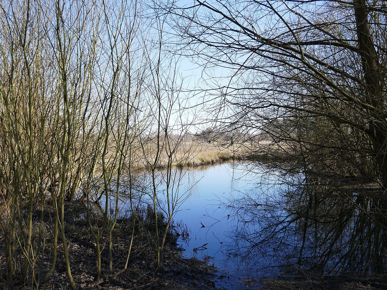 Reiher- und Röhrbach