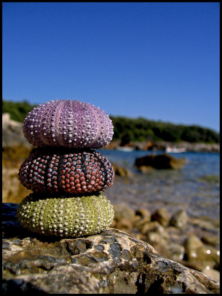 Plage HR